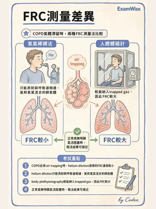 呼吸治療師 - 呼吸機械力學監測 - AI 圖文解析預覽