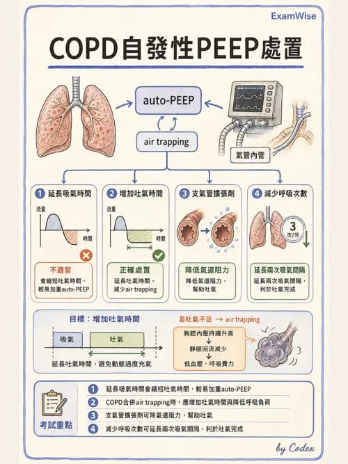 呼吸治療師 - 呼吸機械力學監測 - AI 圖文解析預覽