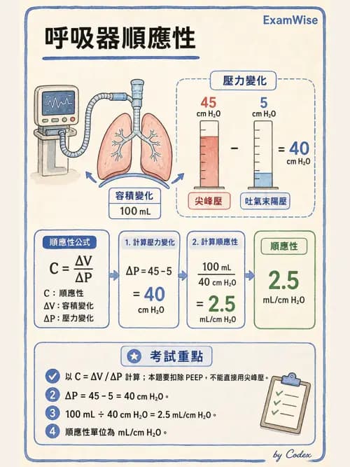 呼吸治療師 - 呼吸機械力學監測 - AI 圖文解析預覽