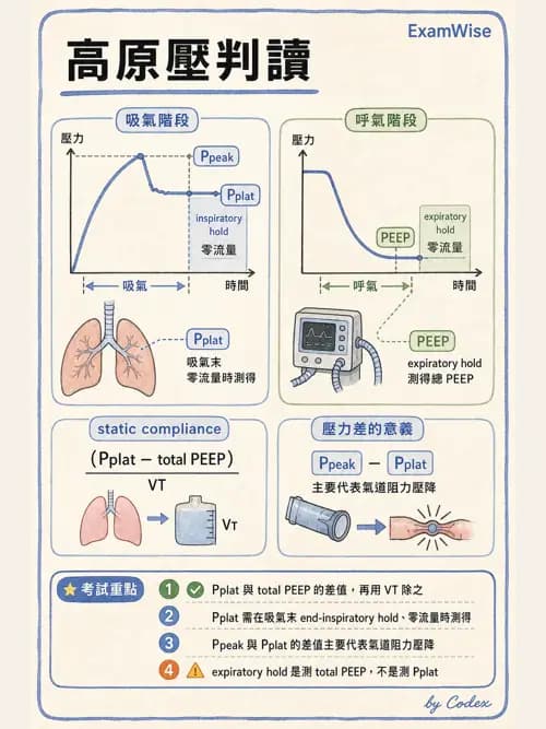 呼吸治療師 - 呼吸機械力學監測 - AI 圖文解析預覽