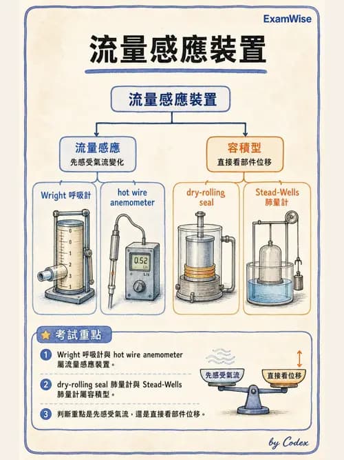 呼吸治療師 - 呼吸機械力學監測 - AI 圖文解析預覽