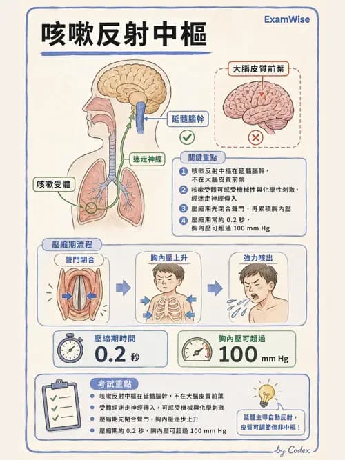 呼吸治療師 - 呼吸道照護與抽痰設備 - AI 圖文解析預覽