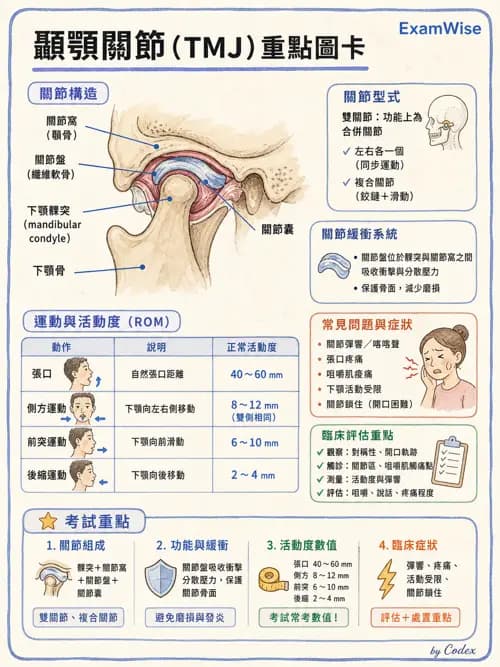 呼吸治療師 - 呼吸照護設備消毒 - AI 圖文解析預覽