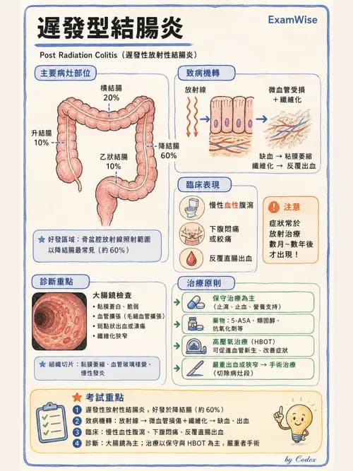 呼吸治療師 - 呼吸照護設備消毒 - AI 圖文解析預覽