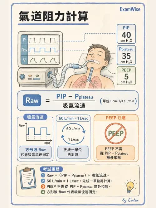 呼吸治療師 - 機械通氣生理 - AI 圖文解析預覽