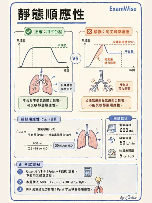 呼吸治療師 - 機械通氣生理 - AI 圖文解析預覽