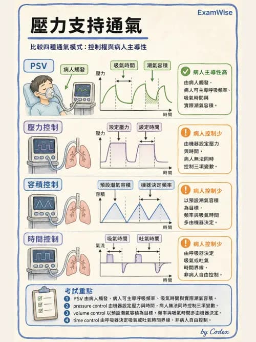 呼吸治療師 - 呼吸器設計與通氣模式 - AI 圖文解析預覽