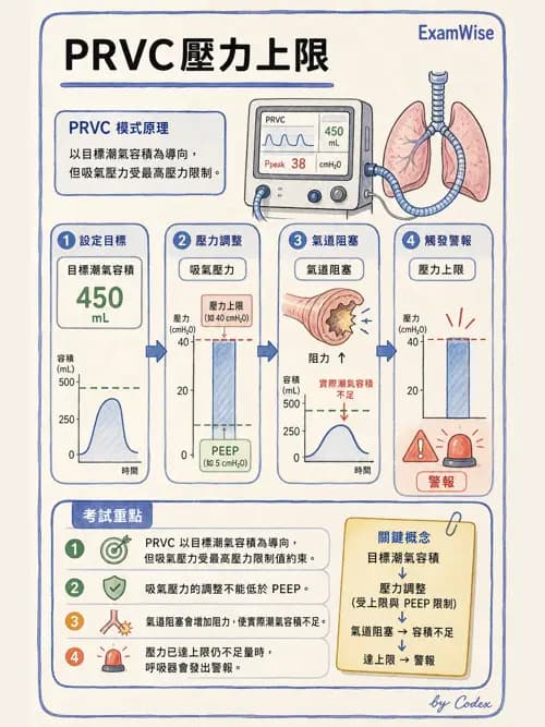 呼吸治療師 - 呼吸器設計與通氣模式 - AI 圖文解析預覽