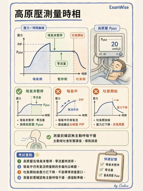 呼吸治療師 - 機械通氣生理 - AI 圖文解析預覽