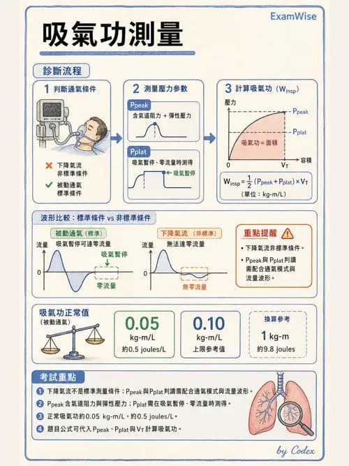 呼吸治療師 - 機械通氣生理 - AI 圖文解析預覽