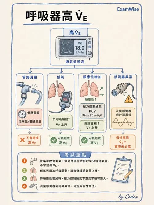 呼吸治療師 - 呼吸器圖形判讀與故障排除 - AI 圖文解析預覽