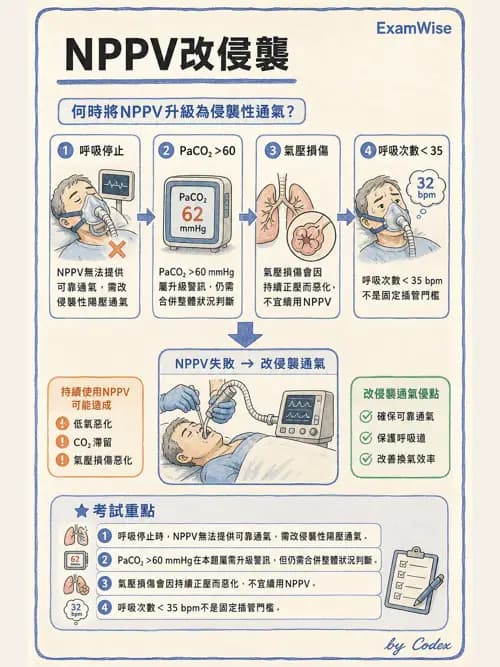 呼吸治療師 - 非侵襲性與居家通氣 - AI 圖文解析預覽
