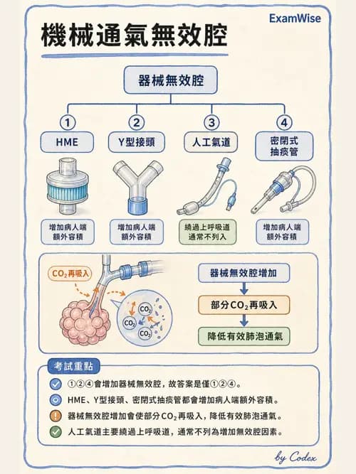 呼吸治療師 - 呼吸器監測與評估 - AI 圖文解析預覽