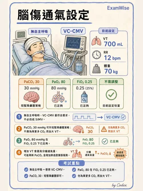 呼吸治療師 - 臨床設定、參數調整與脫離 - AI 圖文解析預覽