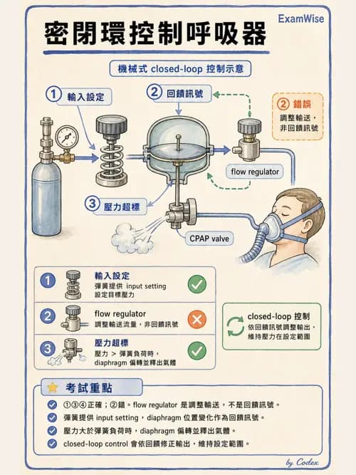 呼吸治療師 - 呼吸器設計與通氣模式 - AI 圖文解析預覽