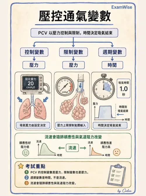 呼吸治療師 - 呼吸器設計與通氣模式 - AI 圖文解析預覽