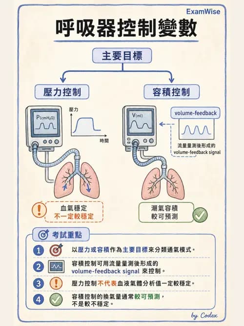 呼吸治療師 - 呼吸器設計與通氣模式 - AI 圖文解析預覽