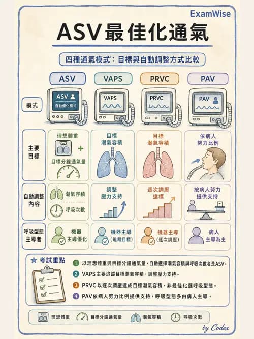 呼吸治療師 - 呼吸器設計與通氣模式 - AI 圖文解析預覽