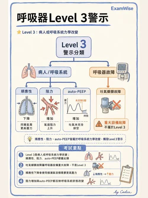 呼吸治療師 - 呼吸器圖形判讀與故障排除 - AI 圖文解析預覽