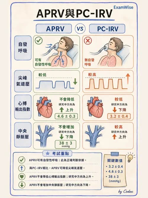 呼吸治療師 - 呼吸器設計與通氣模式 - AI 圖文解析預覽