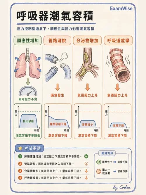 呼吸治療師 - 呼吸器圖形判讀與故障排除 - AI 圖文解析預覽