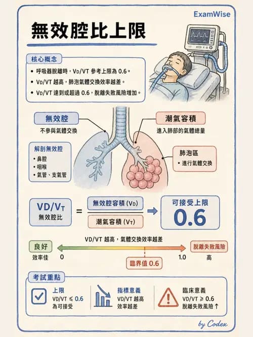 呼吸治療師 - 臨床設定、參數調整與脫離 - AI 圖文解析預覽