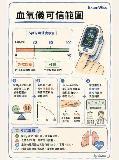 呼吸治療師 - 呼吸器監測與評估 - AI 圖文解析預覽