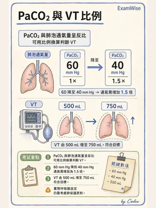 呼吸治療師 - 臨床設定、參數調整與脫離 - AI 圖文解析預覽