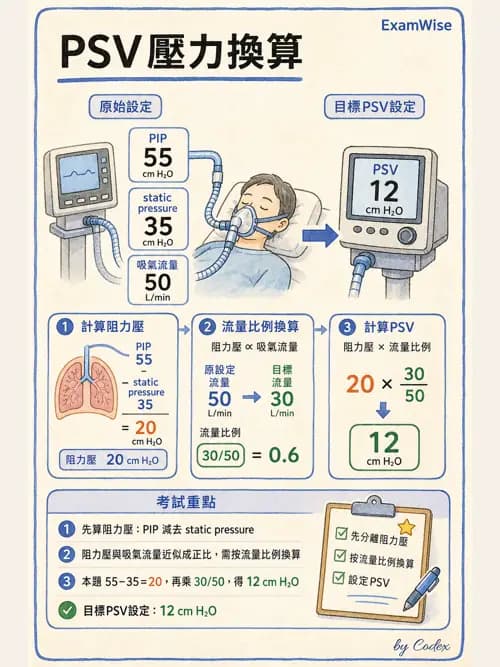 呼吸治療師 - 臨床設定、參數調整與脫離 - AI 圖文解析預覽