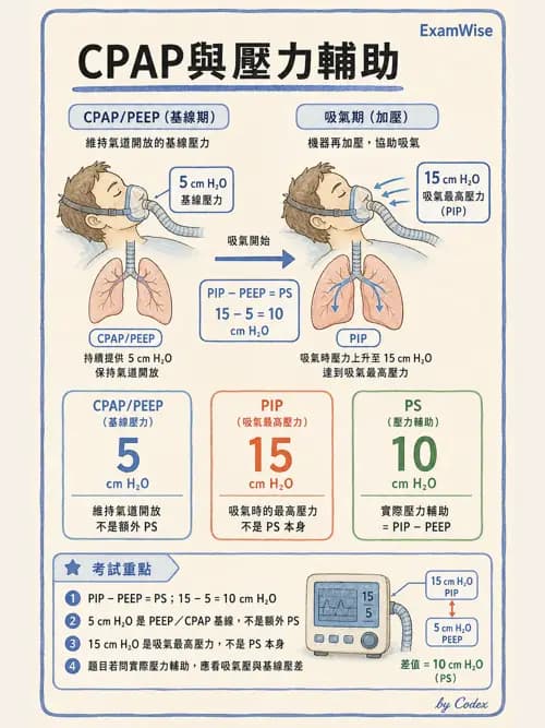 呼吸治療師 - 臨床設定、參數調整與脫離 - AI 圖文解析預覽