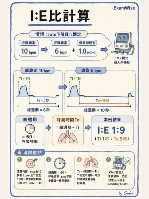 呼吸治療師 - 臨床設定、參數調整與脫離 - AI 圖文解析預覽