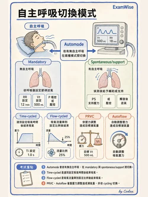 呼吸治療師 - 呼吸器設計與通氣模式 - AI 圖文解析預覽