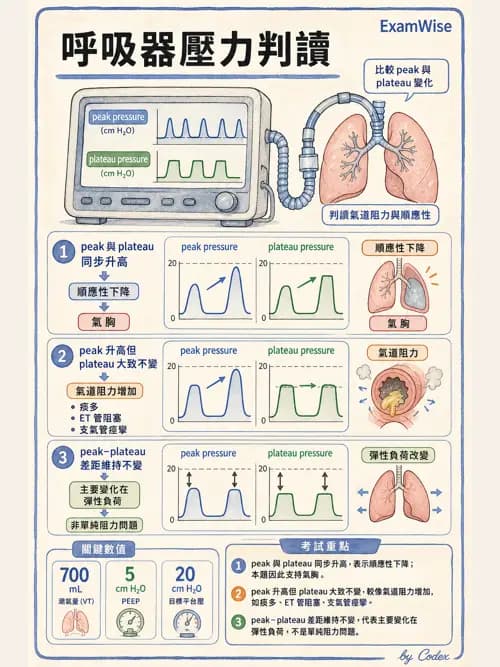 呼吸治療師 - 呼吸器圖形判讀與故障排除 - AI 圖文解析預覽