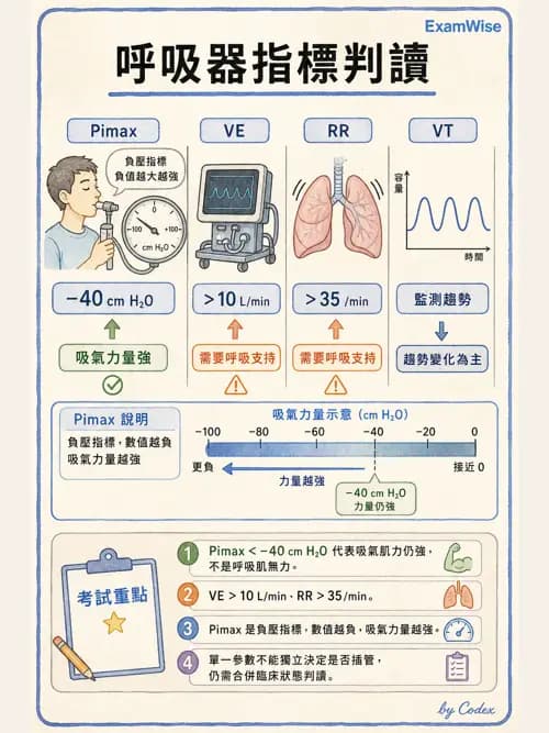 呼吸治療師 - 臨床設定、參數調整與脫離 - AI 圖文解析預覽