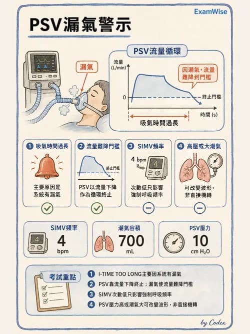 呼吸治療師 - 呼吸器圖形判讀與故障排除 - AI 圖文解析預覽