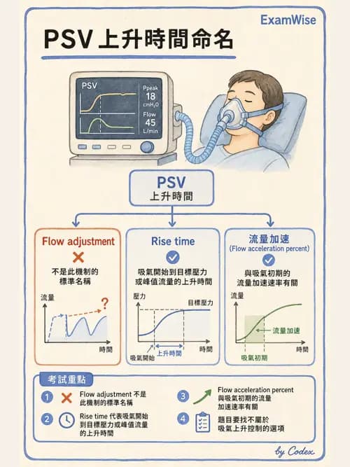 呼吸治療師 - 呼吸器設計與通氣模式 - AI 圖文解析預覽