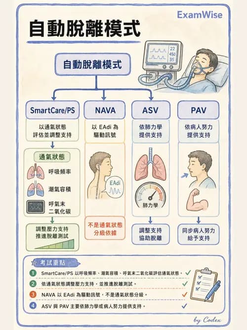 呼吸治療師 - 臨床設定、參數調整與脫離 - AI 圖文解析預覽