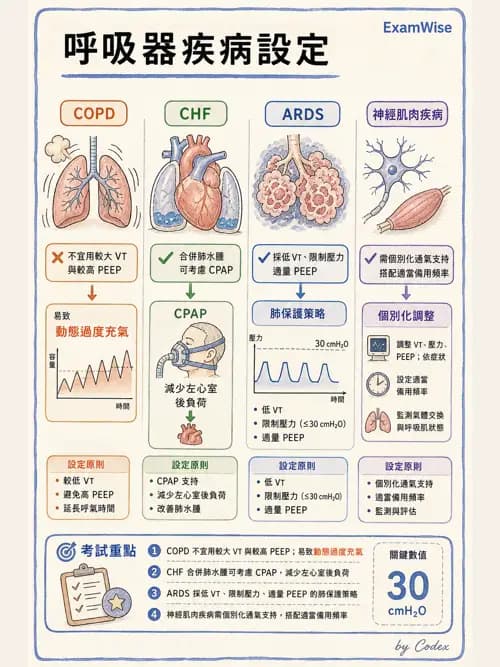 呼吸治療師 - 臨床設定、參數調整與脫離 - AI 圖文解析預覽