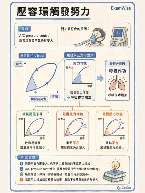 呼吸治療師 - 呼吸器圖形判讀與故障排除 - AI 圖文解析預覽