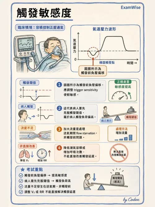 呼吸治療師 - 呼吸器圖形判讀與故障排除 - AI 圖文解析預覽