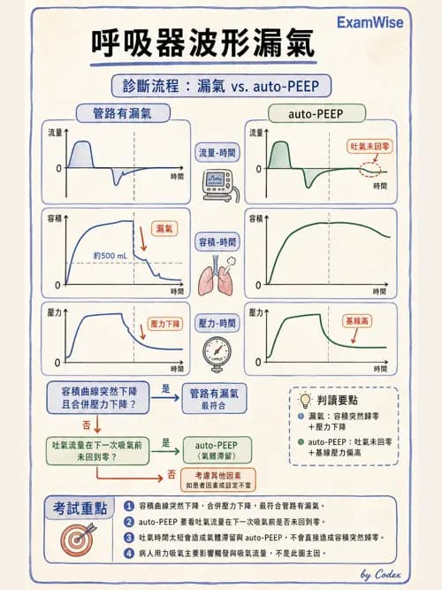 呼吸治療師 - 呼吸器圖形判讀與故障排除 - AI 圖文解析預覽