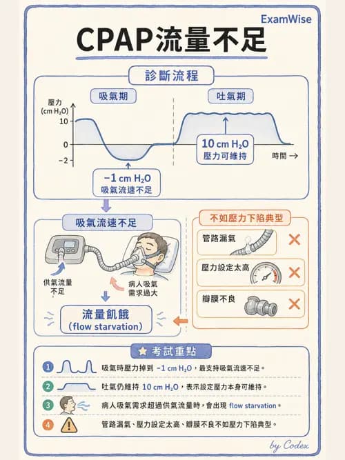 呼吸治療師 - 呼吸器圖形判讀與故障排除 - AI 圖文解析預覽