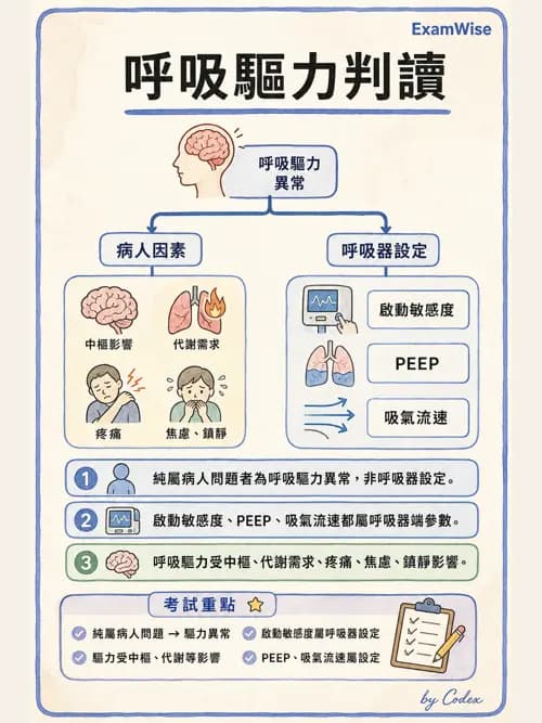呼吸治療師 - 呼吸器圖形判讀與故障排除 - AI 圖文解析預覽