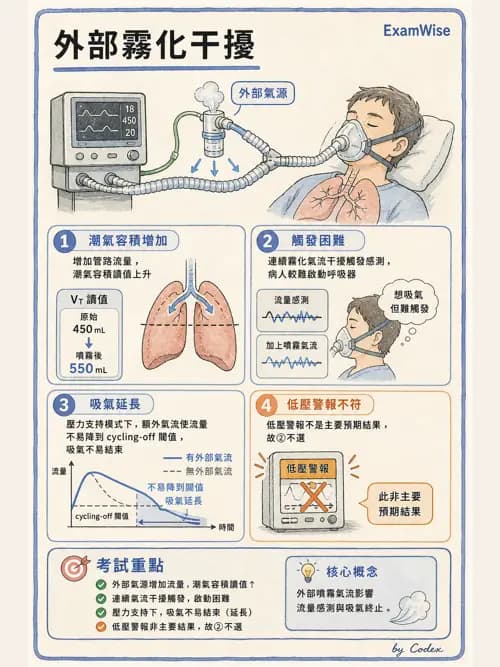 呼吸治療師 - 呼吸器圖形判讀與故障排除 - AI 圖文解析預覽