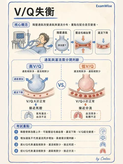 呼吸治療師 - 正壓通氣生理影響與合併症 - AI 圖文解析預覽