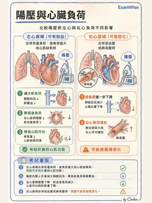 呼吸治療師 - 正壓通氣生理影響與合併症 - AI 圖文解析預覽
