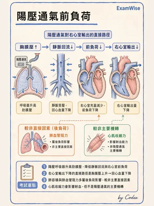 呼吸治療師 - 正壓通氣生理影響與合併症 - AI 圖文解析預覽