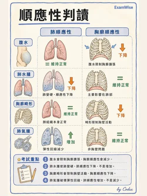 呼吸治療師 - 機械通氣生理 - AI 圖文解析預覽