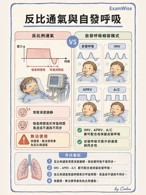 呼吸治療師 - 小兒呼吸器支持 - AI 圖文解析預覽