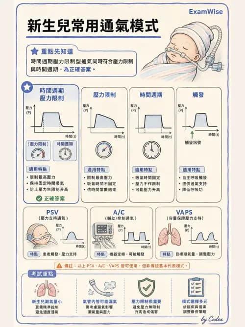呼吸治療師 - 小兒呼吸器支持 - AI 圖文解析預覽